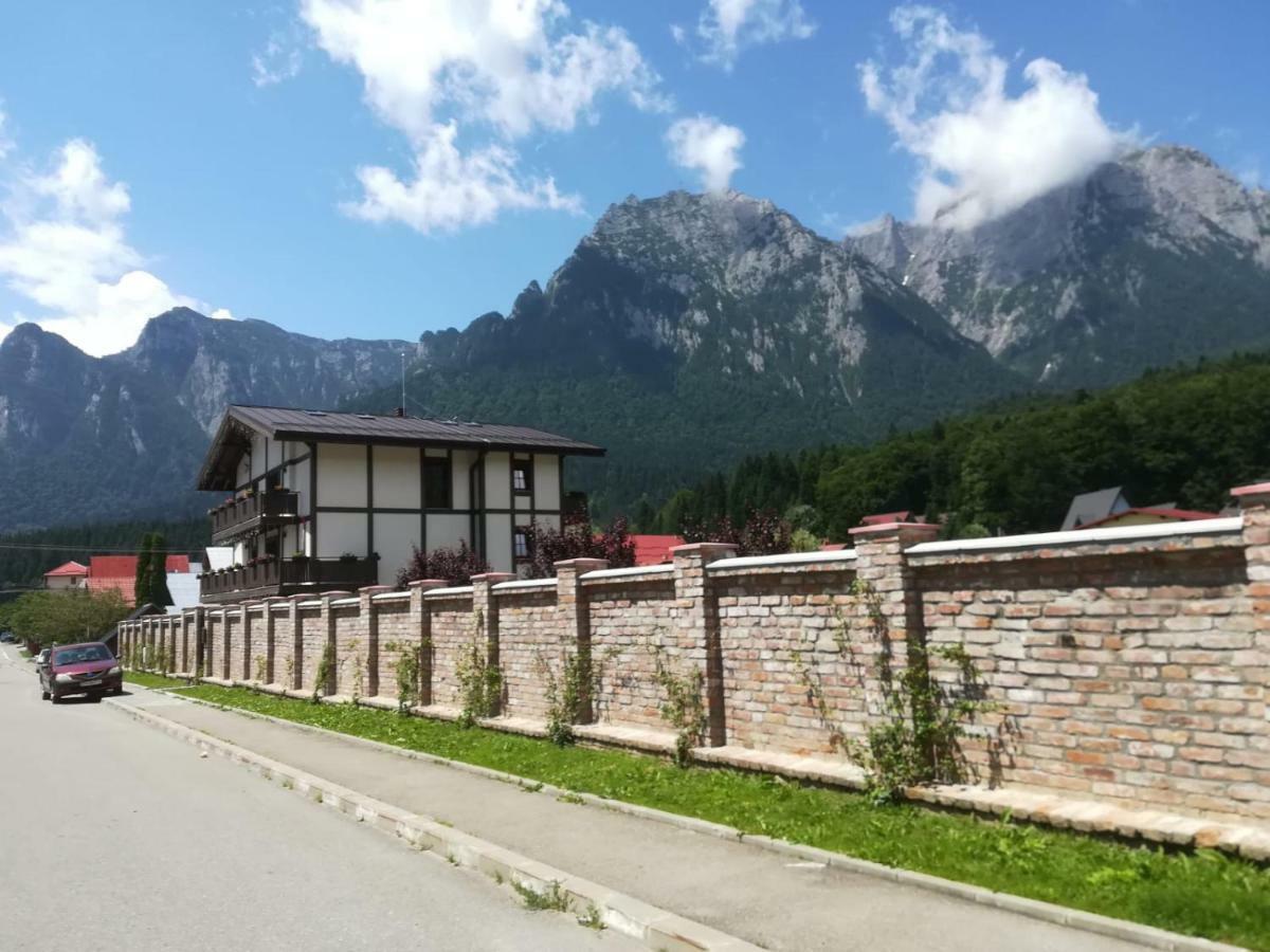 Vila Norbe Buşteni Buitenkant foto